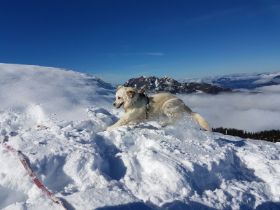 IMG_5407[1].JPG