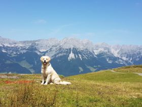 IMG_6969[1].JPG