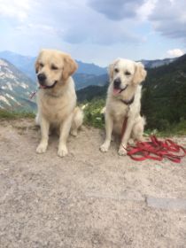 IMG_6992[1].JPG