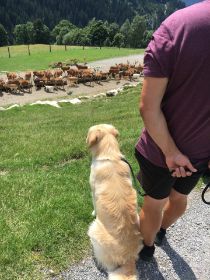 IMG_7082[1].JPG